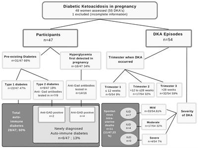 Pregnancy and diabetic ketoacidosis: fetal jeopardy and windows of opportunity